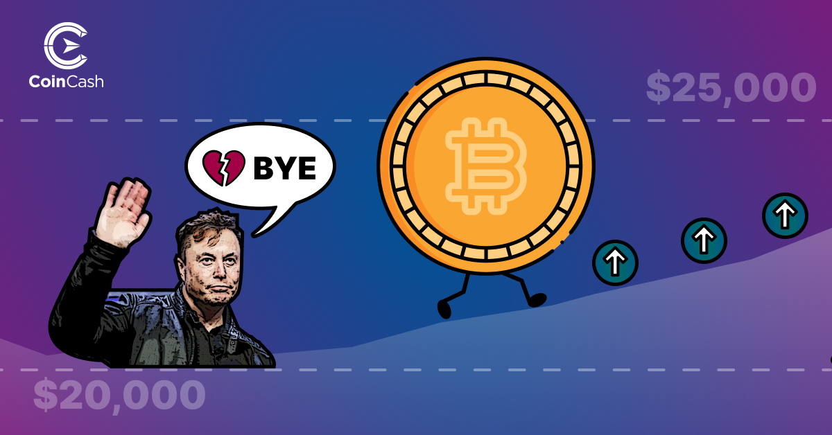 Bitcoin Hodler hírösszefoglaló - 30. hét